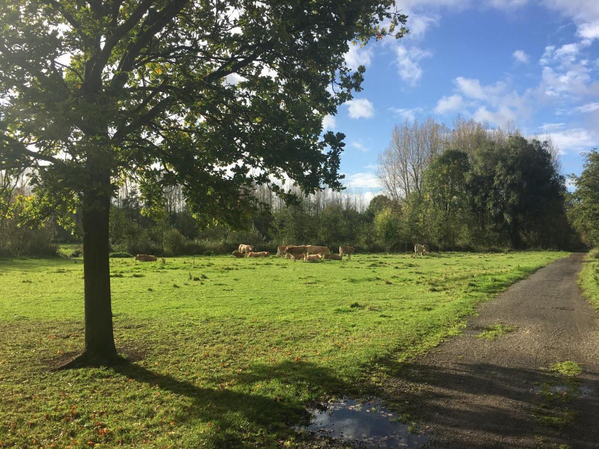 Scheldewegel Vakantiehuis Schelderode Bagian luar foto